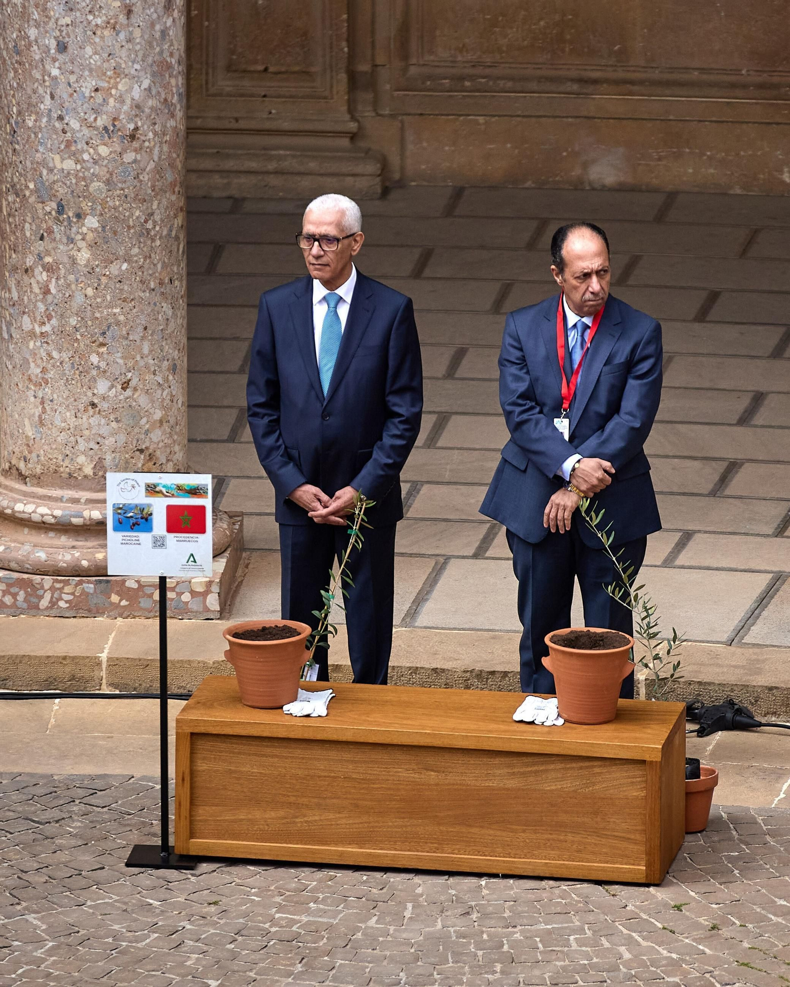 Todas las imágenes de la plantación del jardín de la paz en la Alhambra de Granada