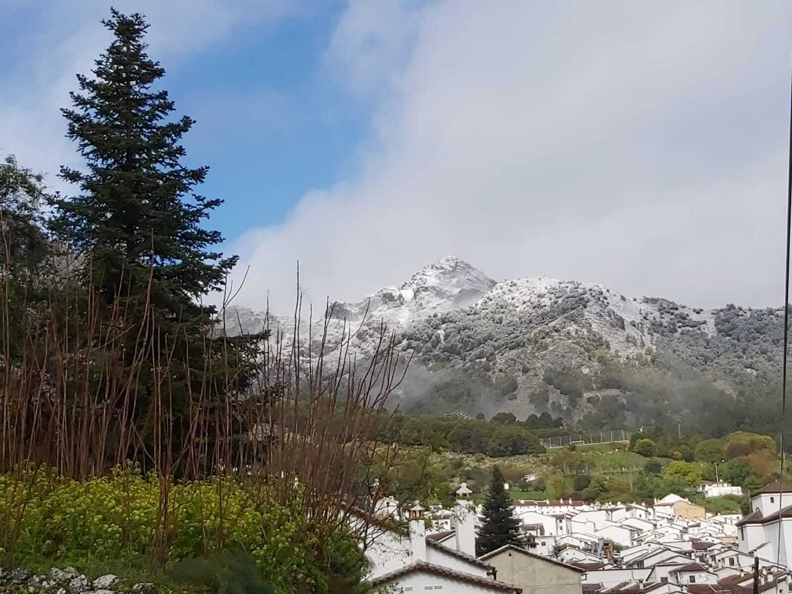La lluvia se ha hecho nieve en las zonas más altas de Grazalema.