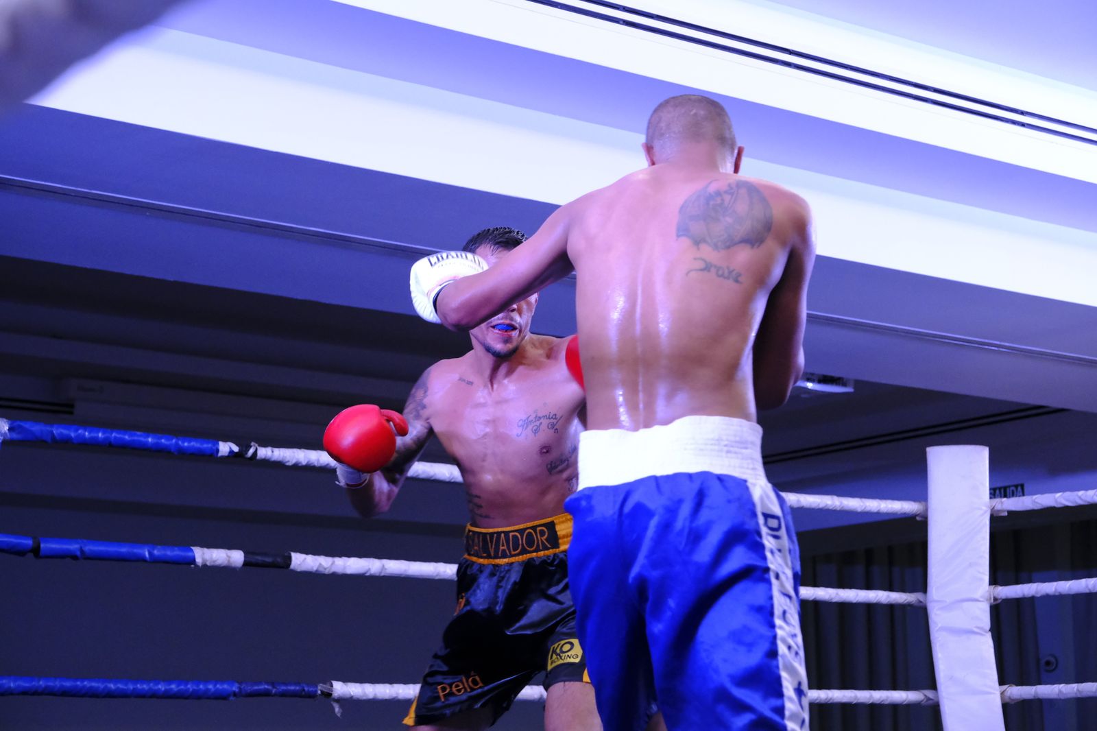 Fotogalería de la velada de boxeo Diamonds Boxing