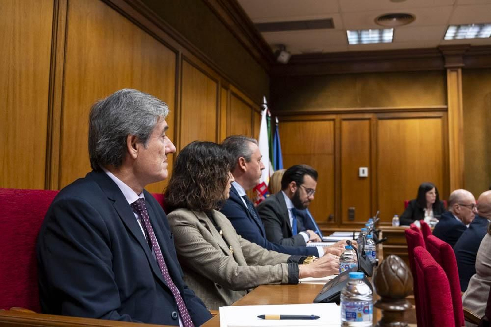 Las imágenes del primer pleno en Diputación sin Javier Aureliano García