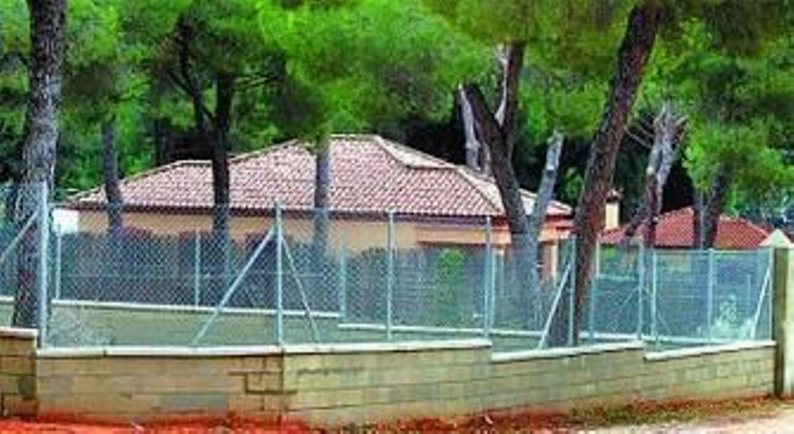 Varias de las viviendas ilegales del Pinar de Coig.