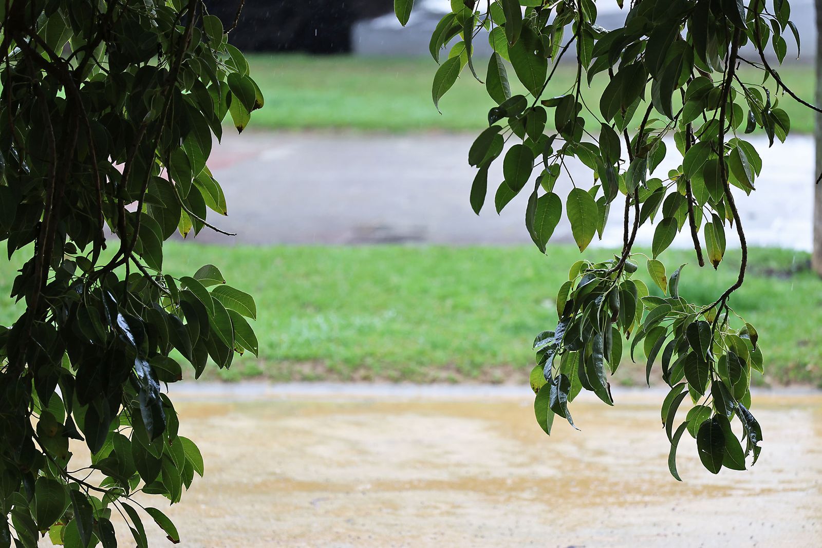 Las imágenes más destacadas del sábado 25 de enero en Huelva