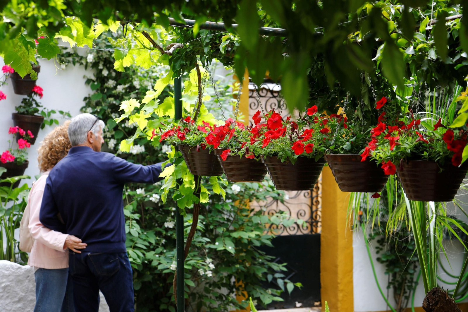Patio de las Religiosas Jerónimas de Santa Marta y Hermandad de la Misericordia.