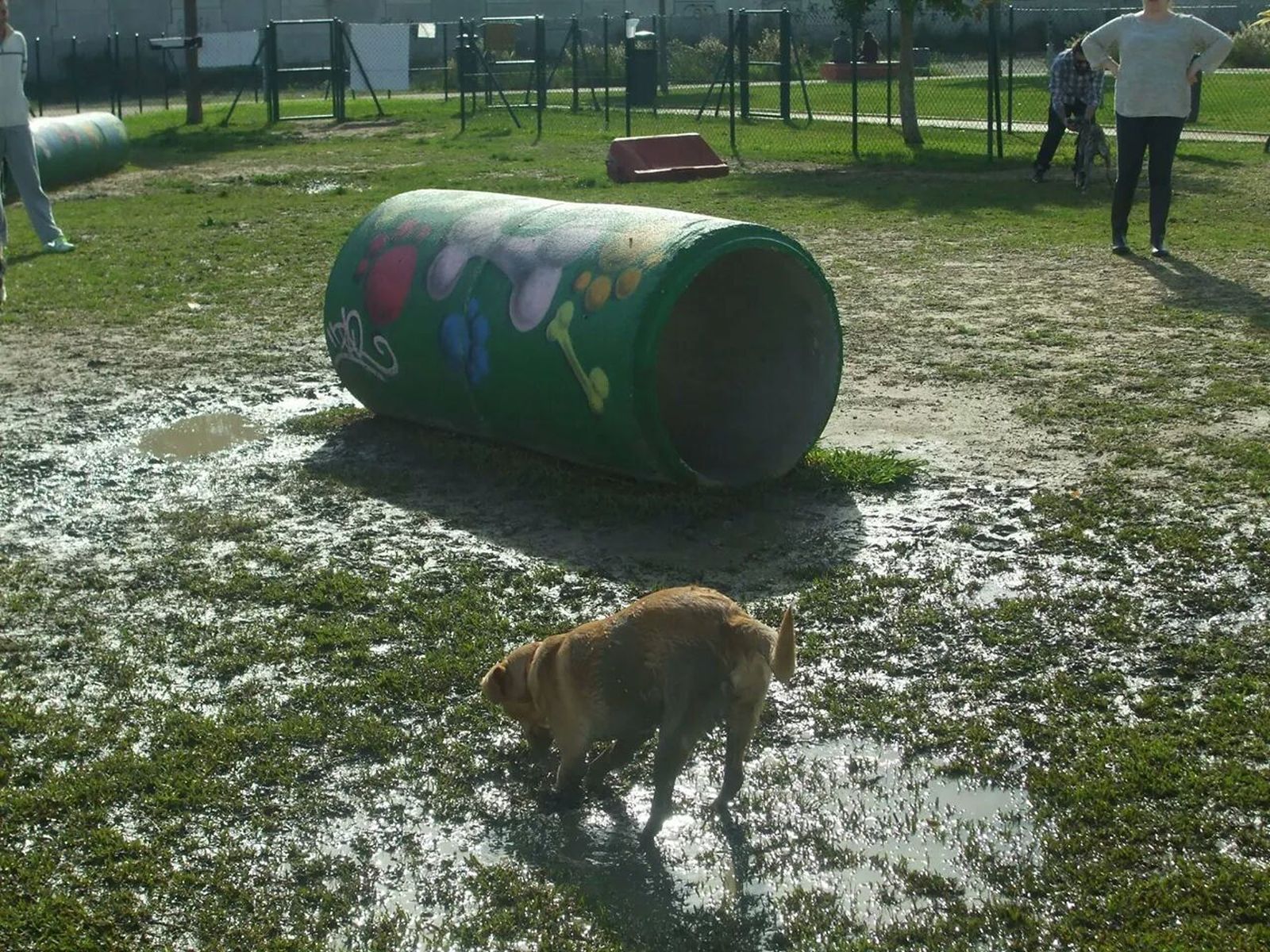 Imagen de un parque canino de la ciudad