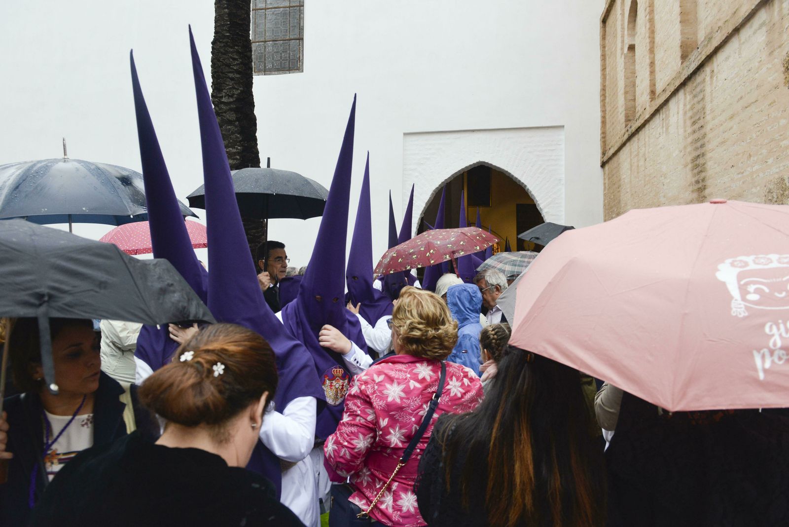 Imágenes de la Exaltación del Jueves Santo