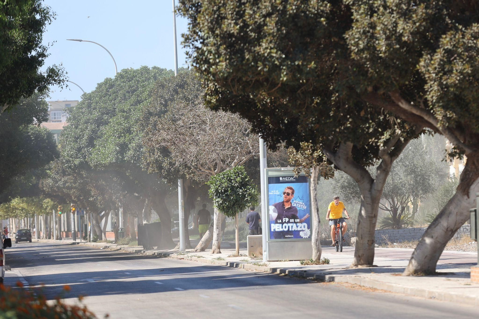 Las fotos del día de fuertes vientos en las playas de Málaga