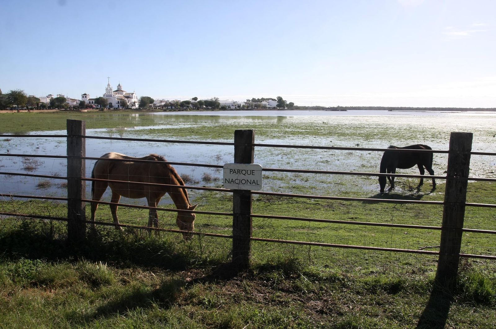 Imágenes de la marisma de El Rocío y de la laguna de El Portil tras las últimas lluvias