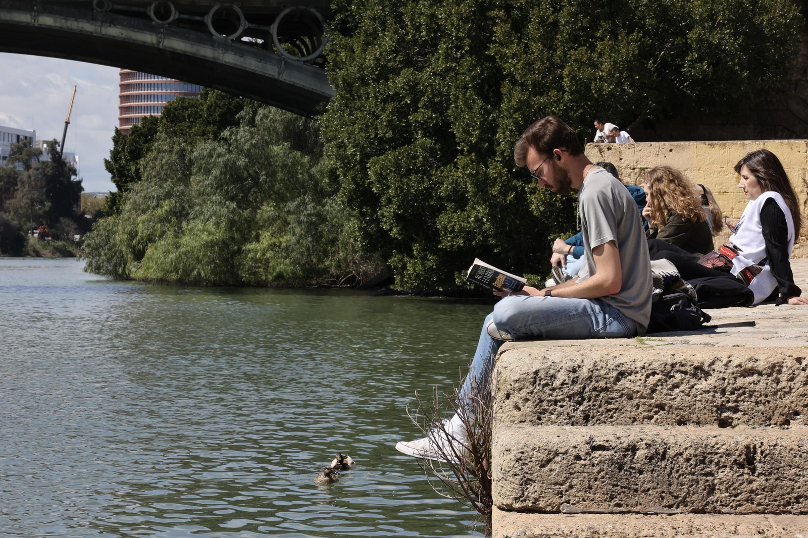 Buen tiempo en Sevilla
