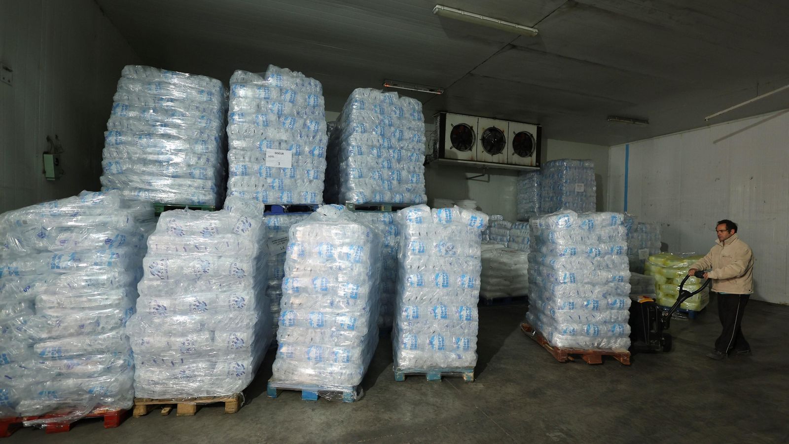 Vista panorámica de las bolsas de cubitos almacenadas en las instalaciones de Hielo Pingüino.