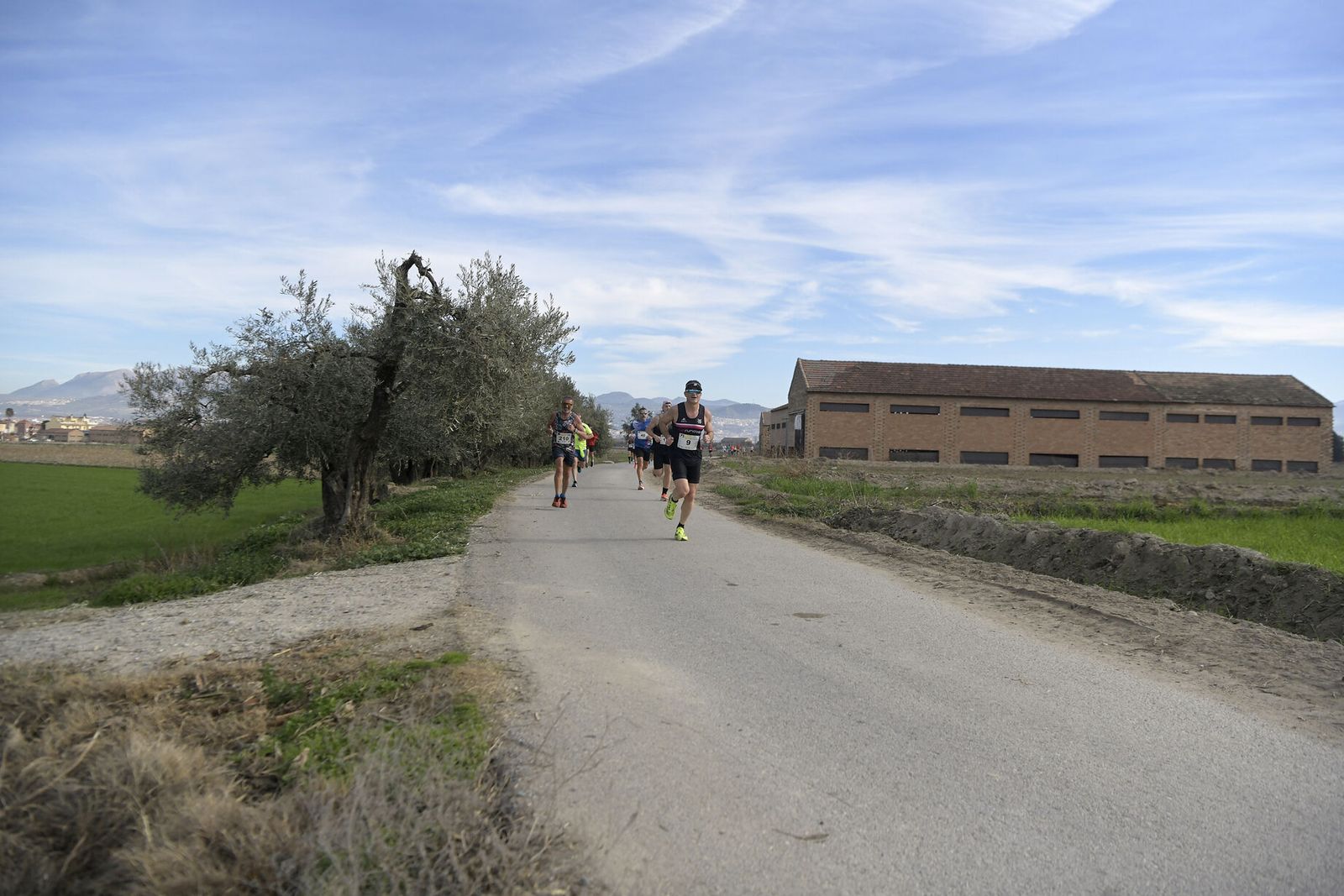 Las imágenes de la Carrera de la Ruta del Secadero de Cúllar Vega