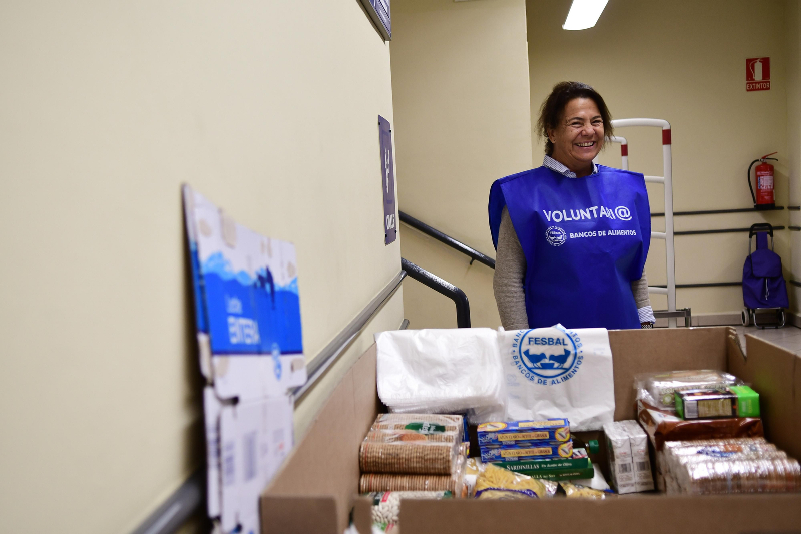 La Gran Recogida del Banco de Alimentos en Córdoba, en imágenes