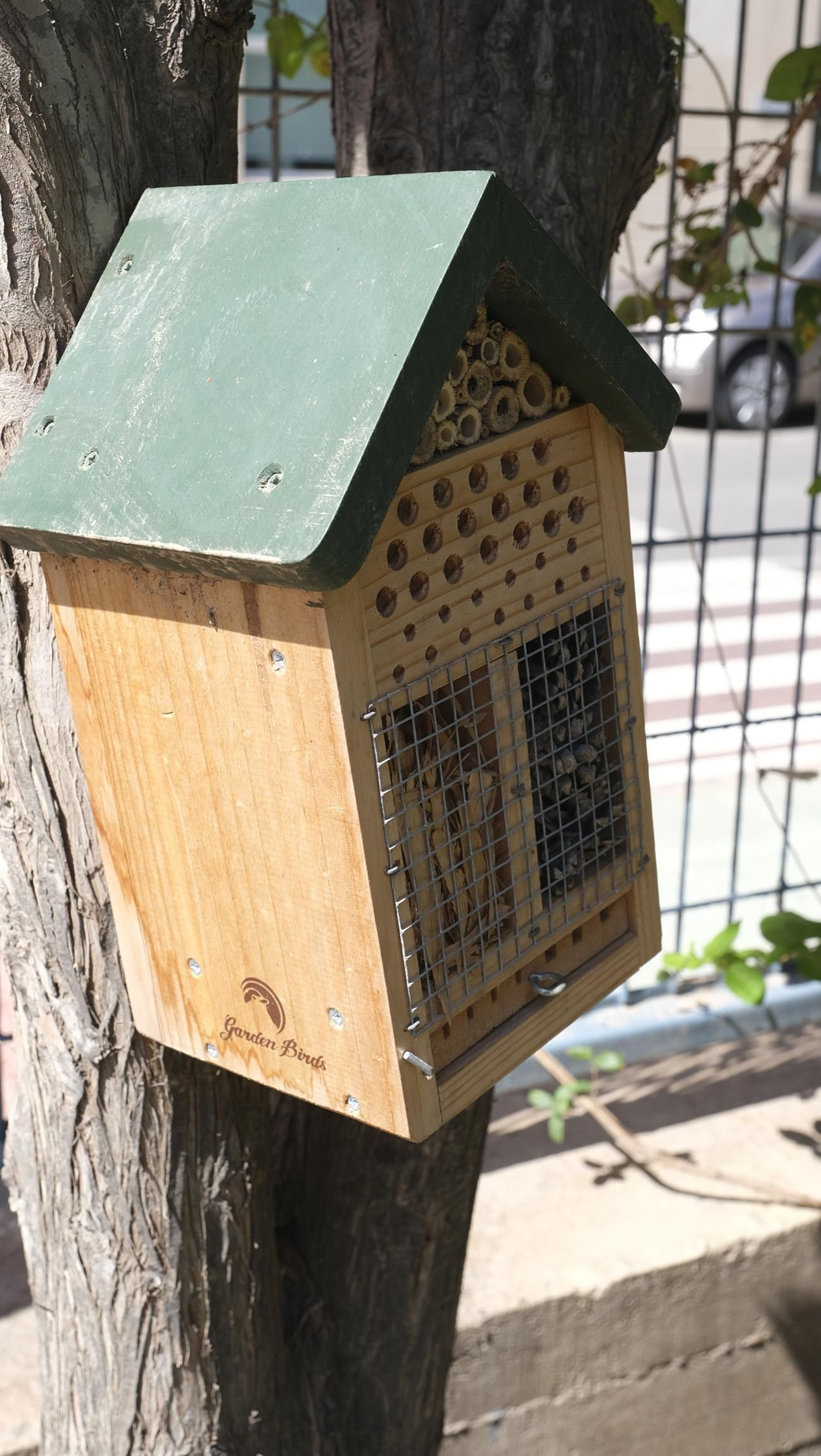 Proyecto Aulas Verdes Abiertas en el Colegio Mar Mediterráneo, de Almería