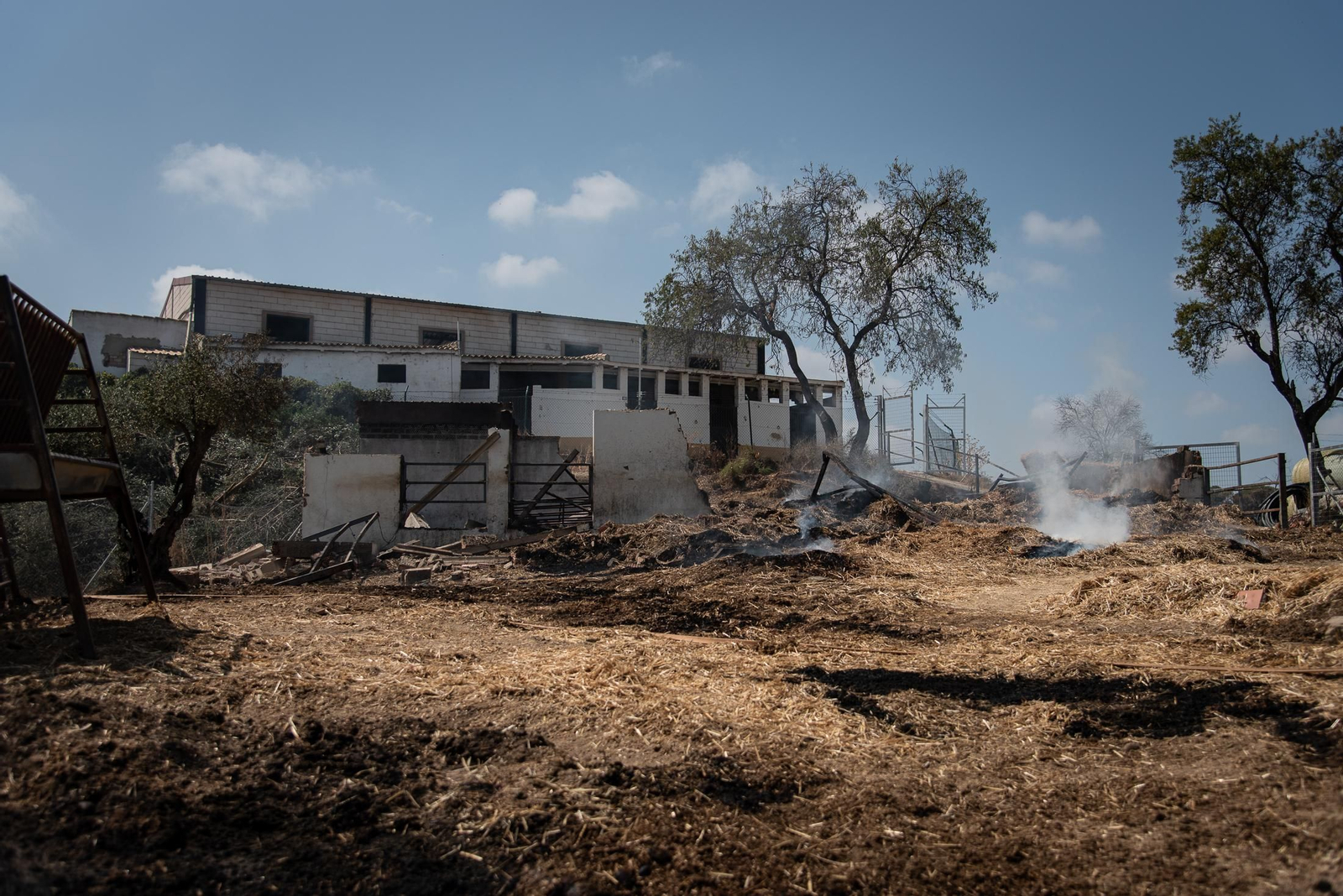 Imágenes de los destrozos causados por el incendio de Lucena del Puerto