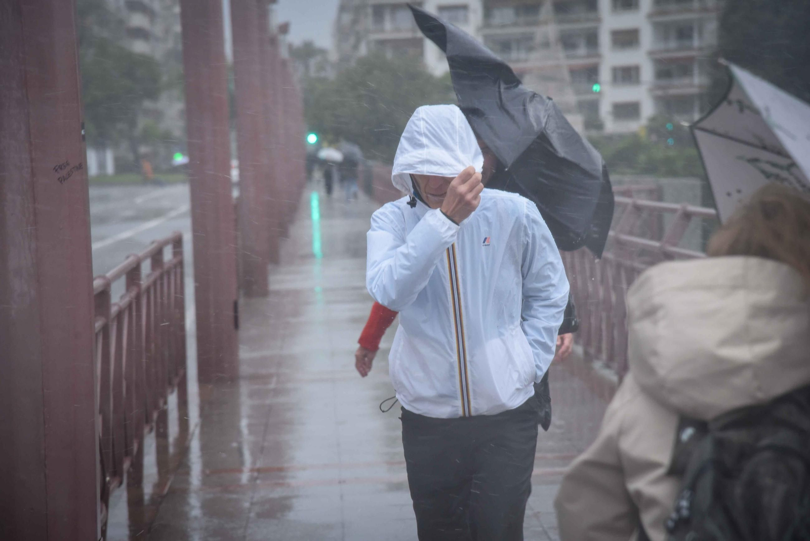 El paso de la Borrasca Claudia por Sevilla en imágenes