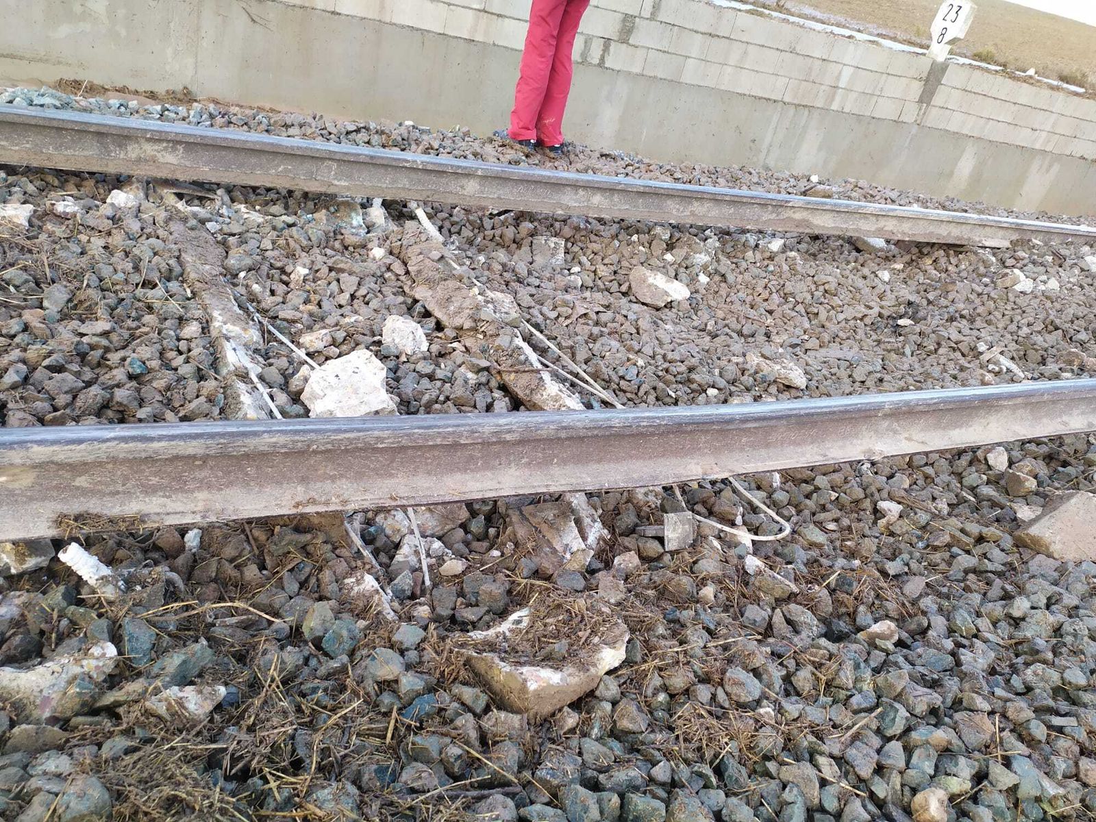 Las fotos del tren descarrilado en Málaga, a su paso por Teba