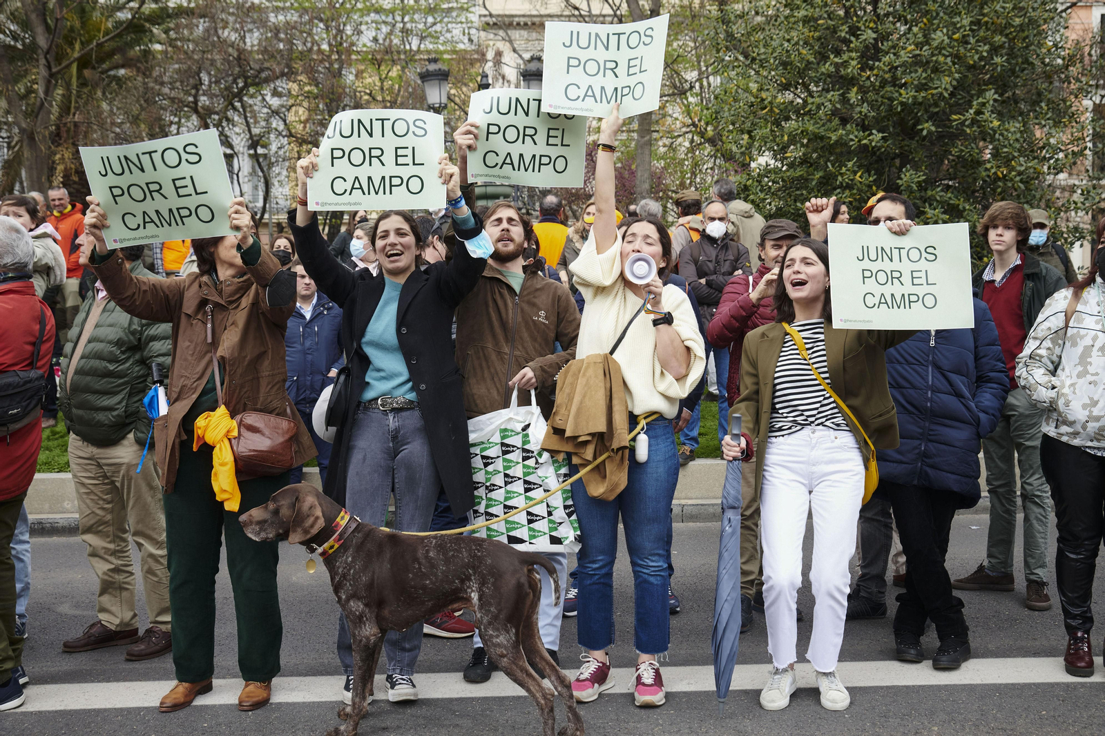 Tractores, rehalas de perros de caza y caballos en la manifestación del campo en Madrid