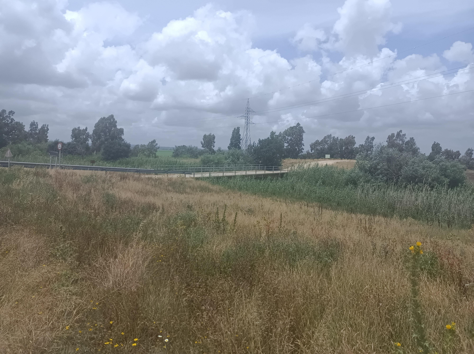 Cruzamos el canal por un puente.