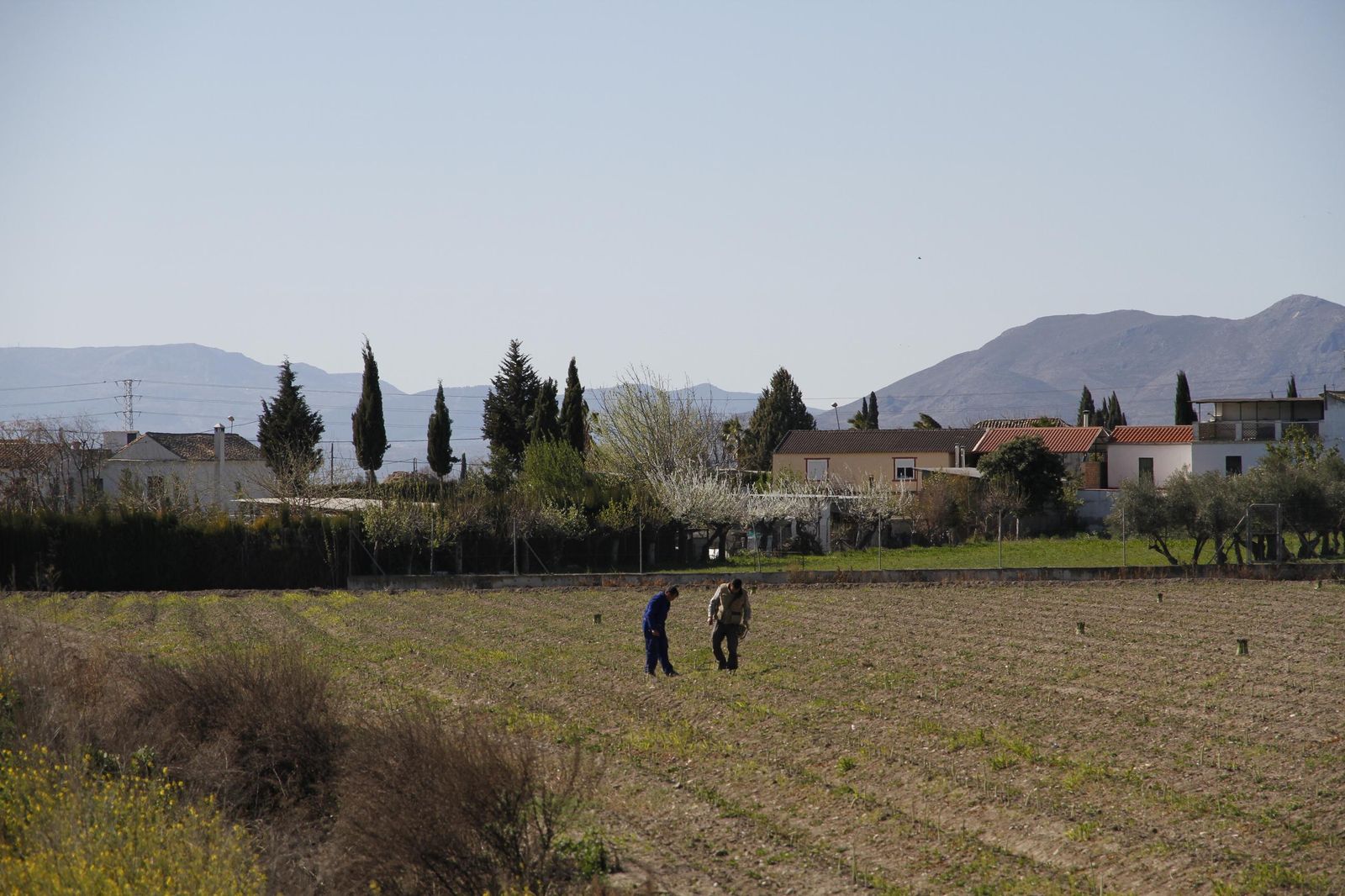 Impacto reducción jornada sector agrario.