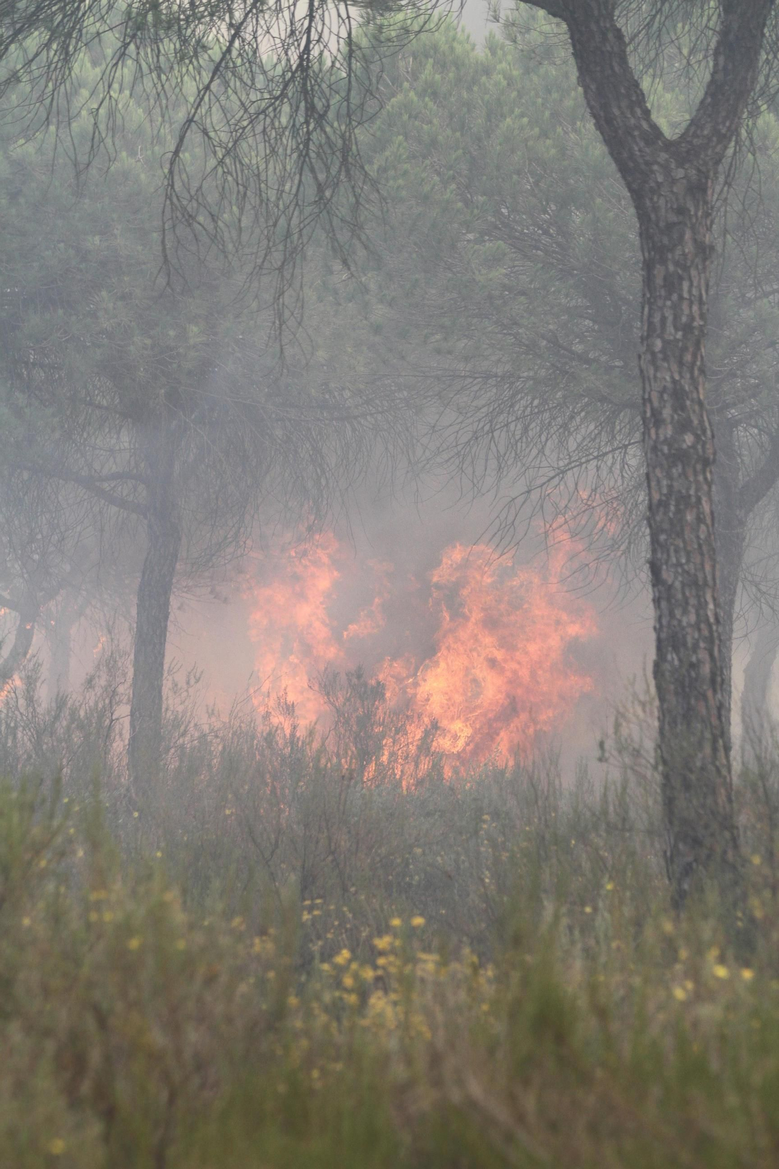 Las imágenes del incendio en Moguer y Mazagón