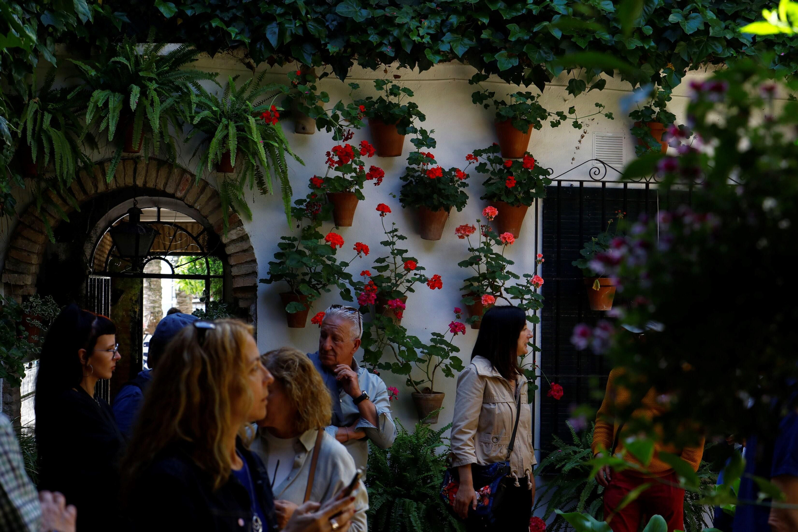 Los Patios de la Ruta de Santiago-San Pedro, en imágenes