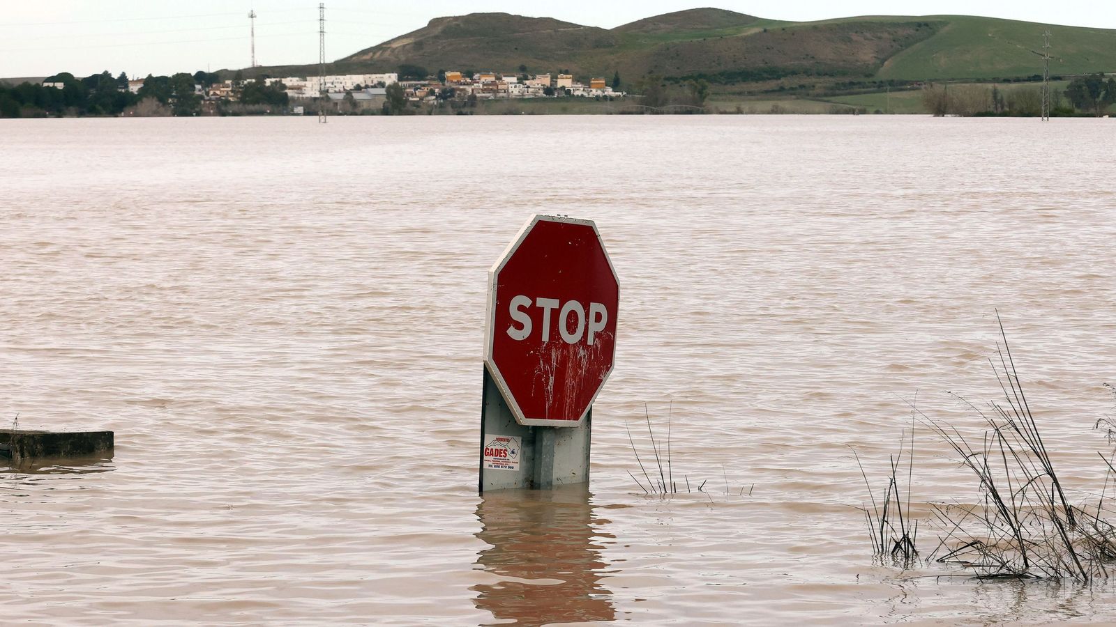 El Guadalete comienza a bajar su nivel poco a poco por la zona rural de Jerez