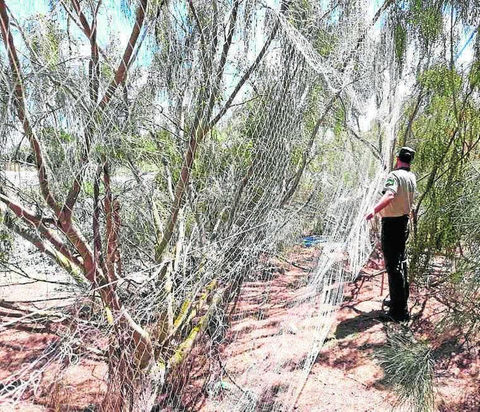 Una de las redes desmontadas por la Guardería Rural de Chipiona.