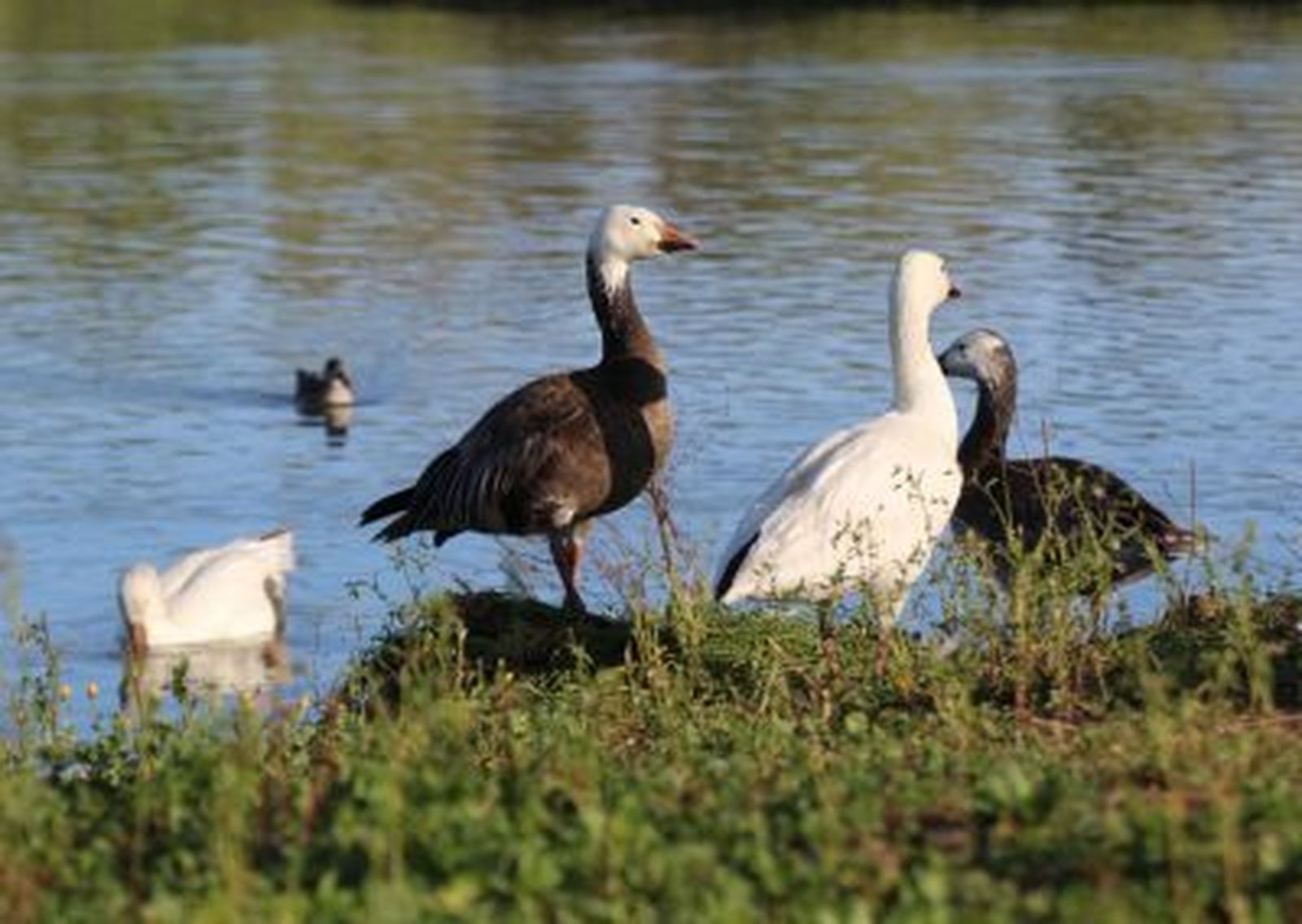 Visita a la Cañada de los pájaros