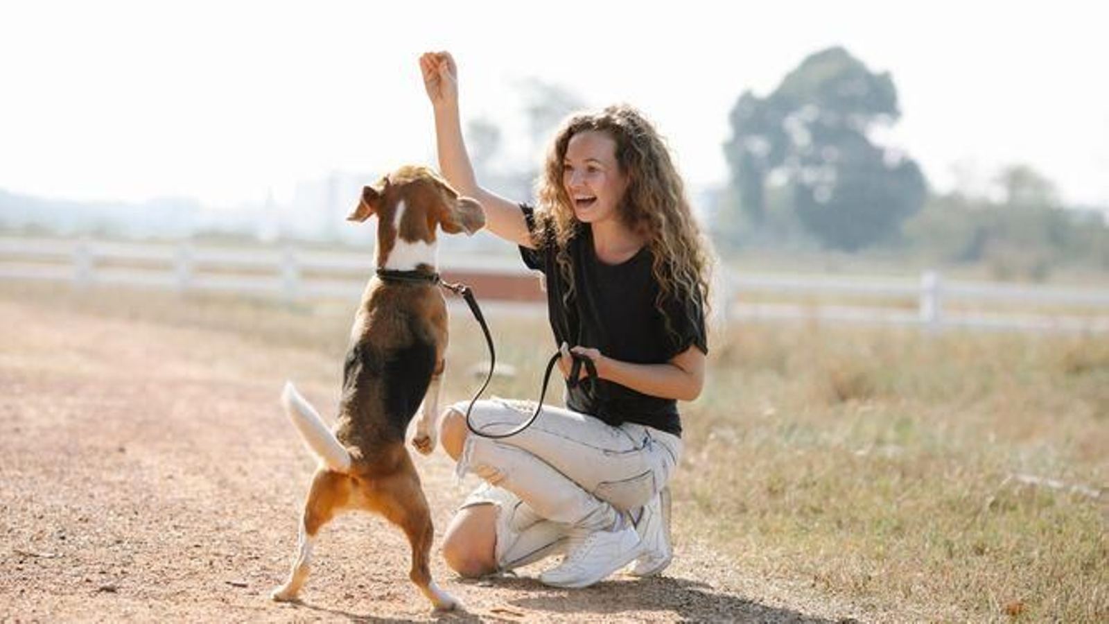 Dónde llevar a tu mascota cuando te vas de vacaciones