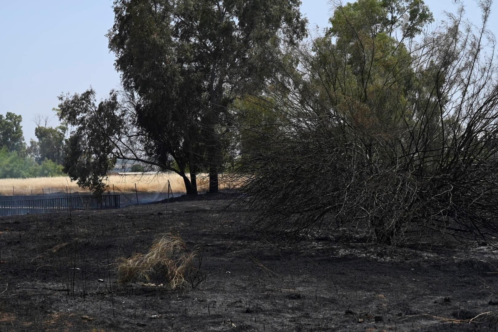La zona calcinada por el incendio junto a la ronda Oeste, en imágenes