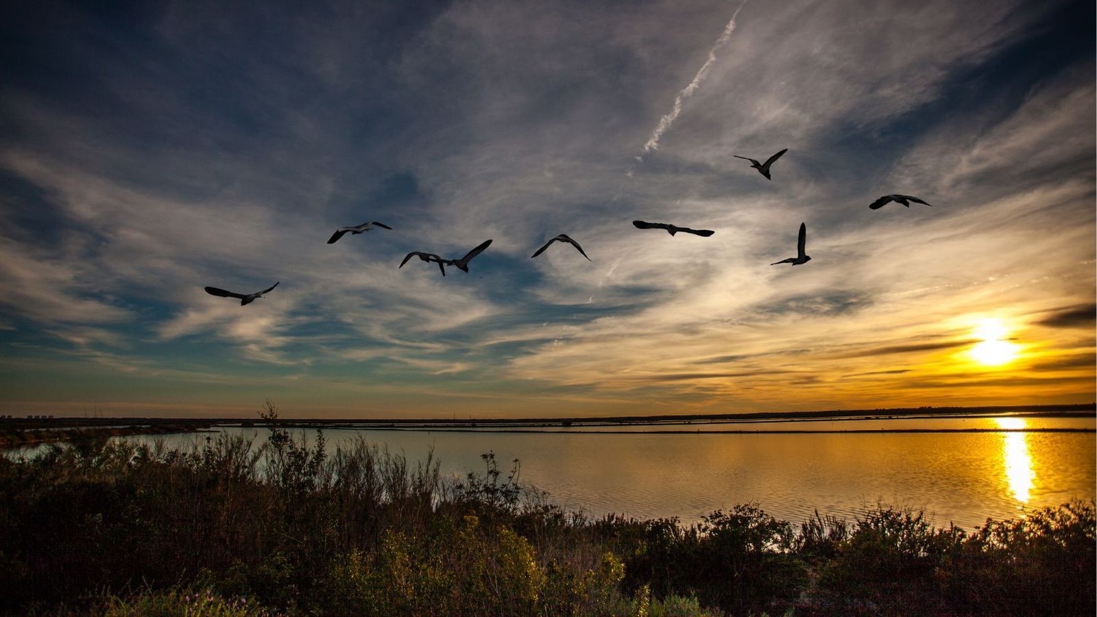 El mayor tesoro natural de Andalucía, después de Doñana, también está en Huelva