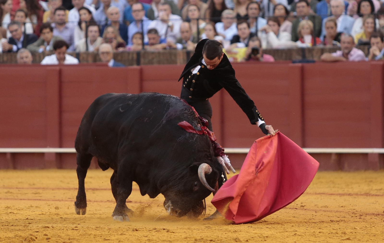 Imágenes del festival benéfico de toros en beneficio de la Hermandad de la Macarena