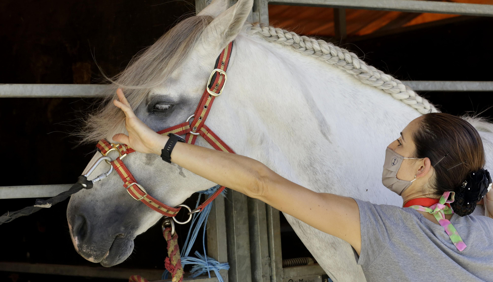 Imágenes del Sicab 2020 en su primer día