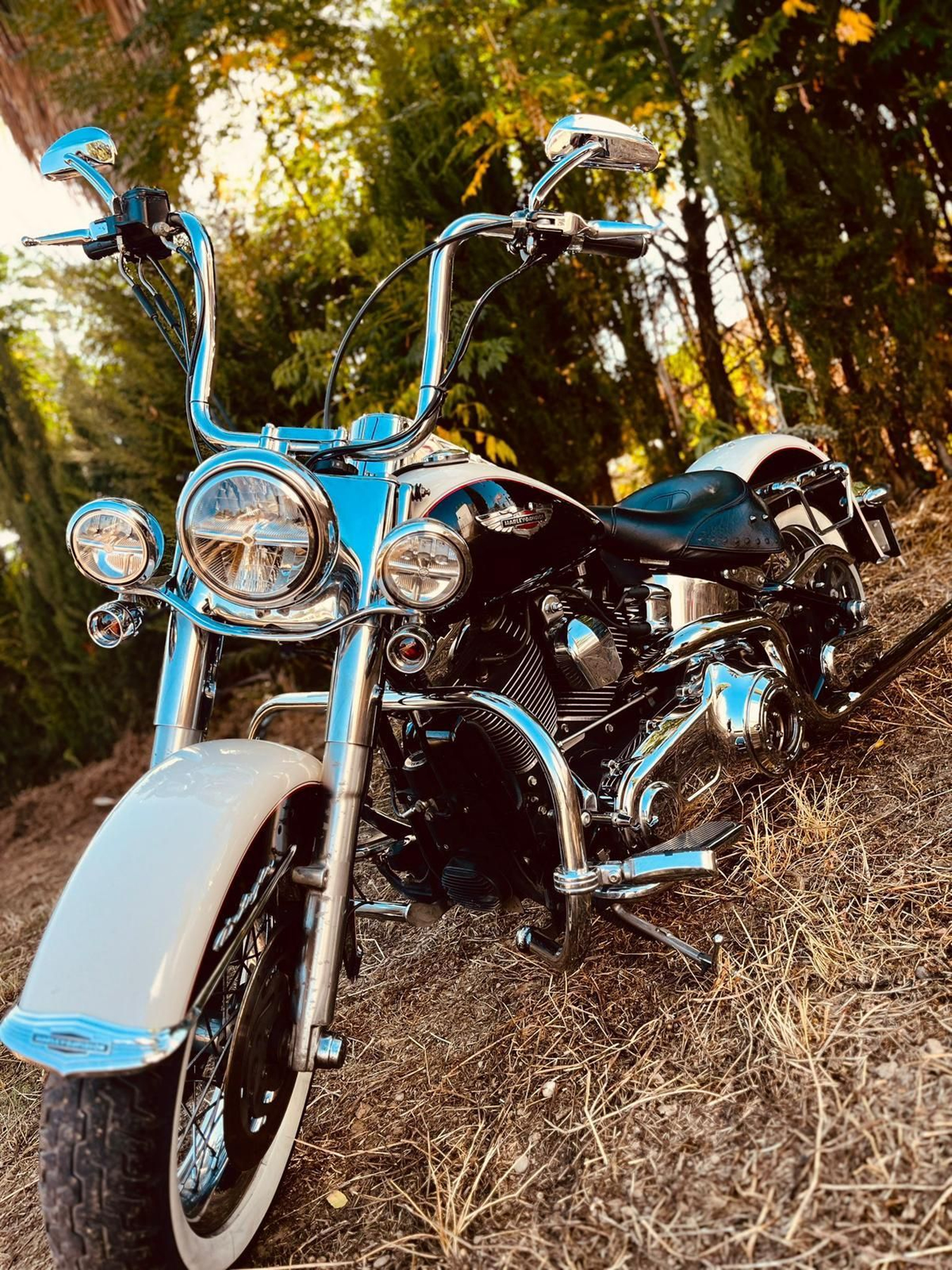 Presentación del Harley Davidson Club de Córdoba