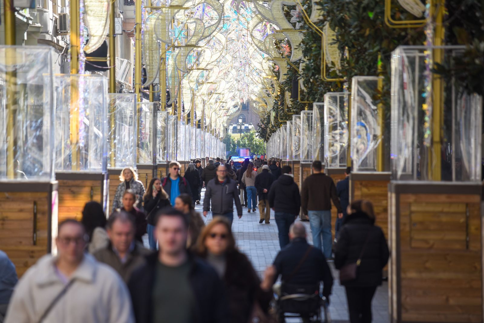 La Tardevieja en Córdoba para despedir 2025, en imágenes