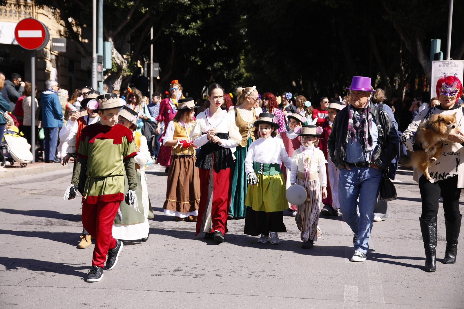 Las imágenes del entierro de la sardina en Almería