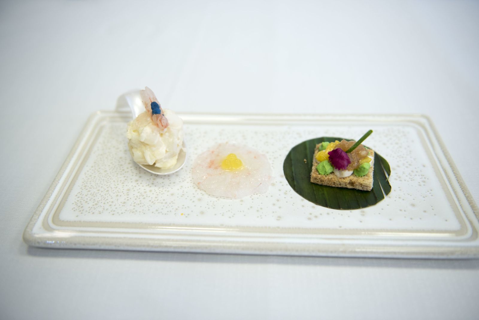 Imágenes de las Jornadas por la Excelencia de la Quisquilla de Motril