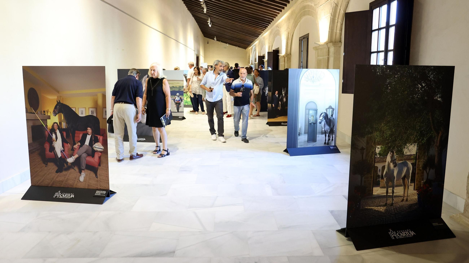 'Esencia: 5 siglos del Caballo Cartujano' en Jerez, exposición de Paco Martín