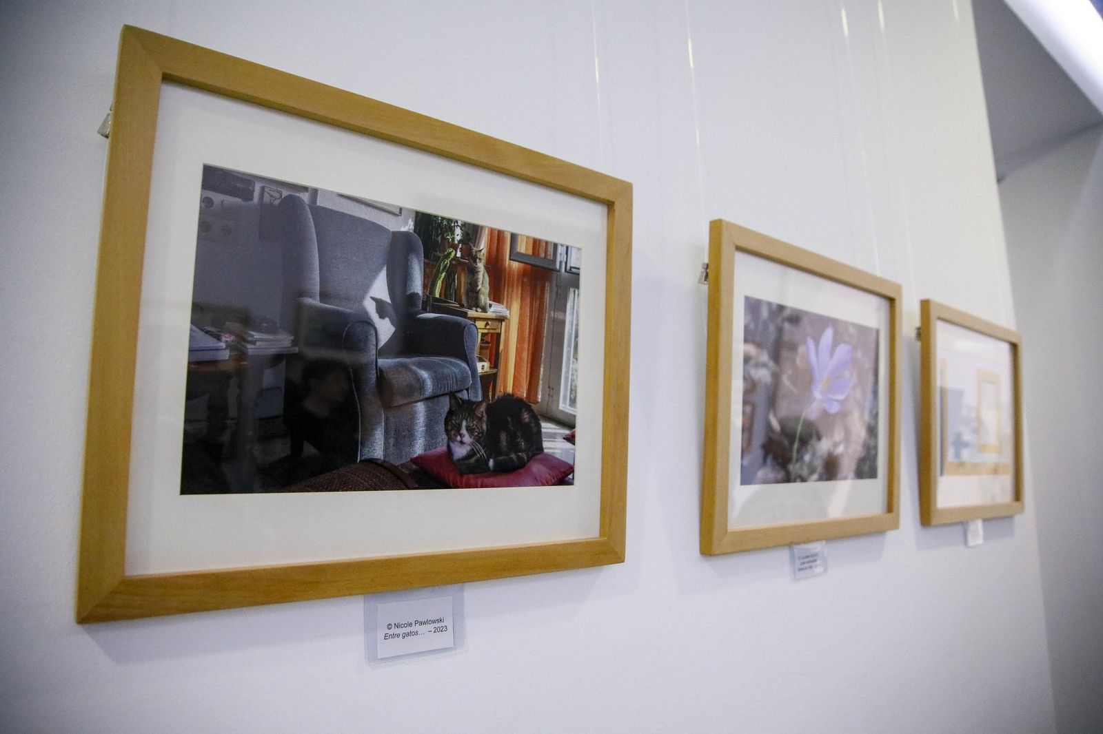 Imágenes de la inauguración de la exposición Miscelánea