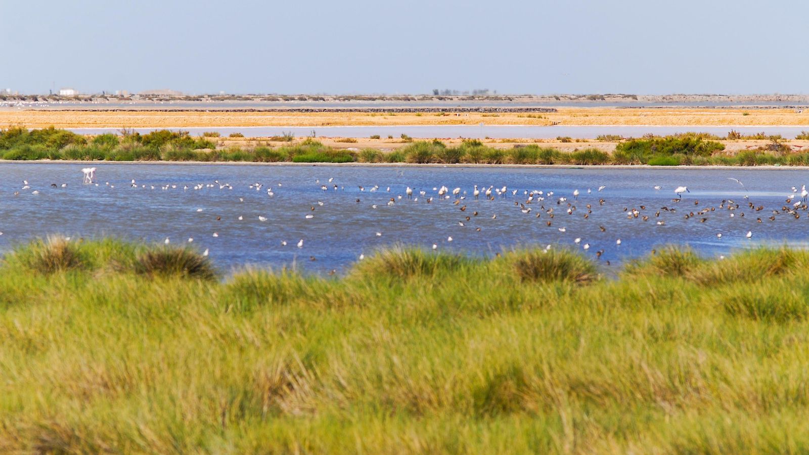 Parque Nacional de Doñana