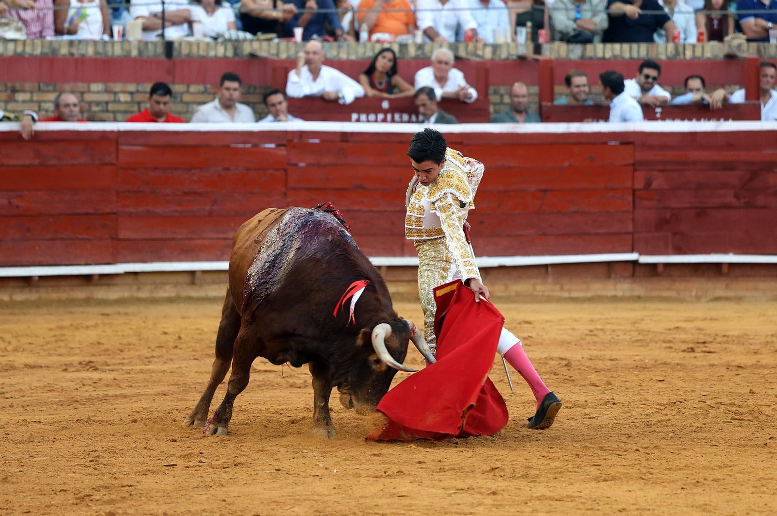Toros La Merced 2025: Imágenes de la corrida de David de Miranda, Marco Pérez y Borja Jiménez