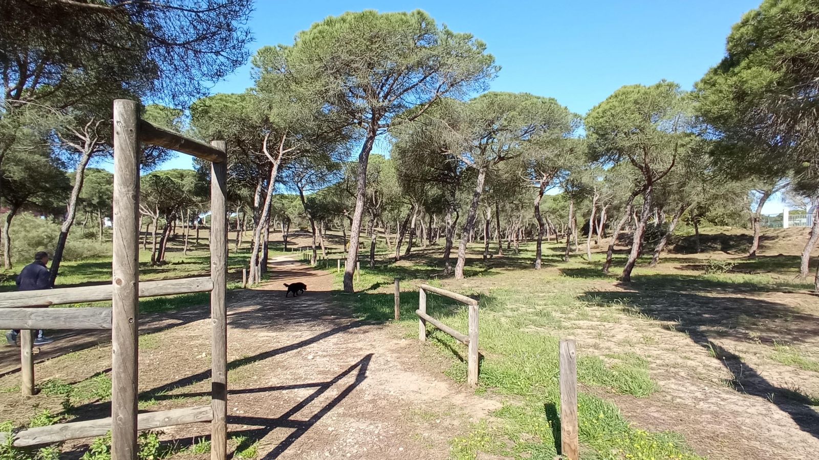 Aquí comienza la ruta por los pinares de Punta Umbría