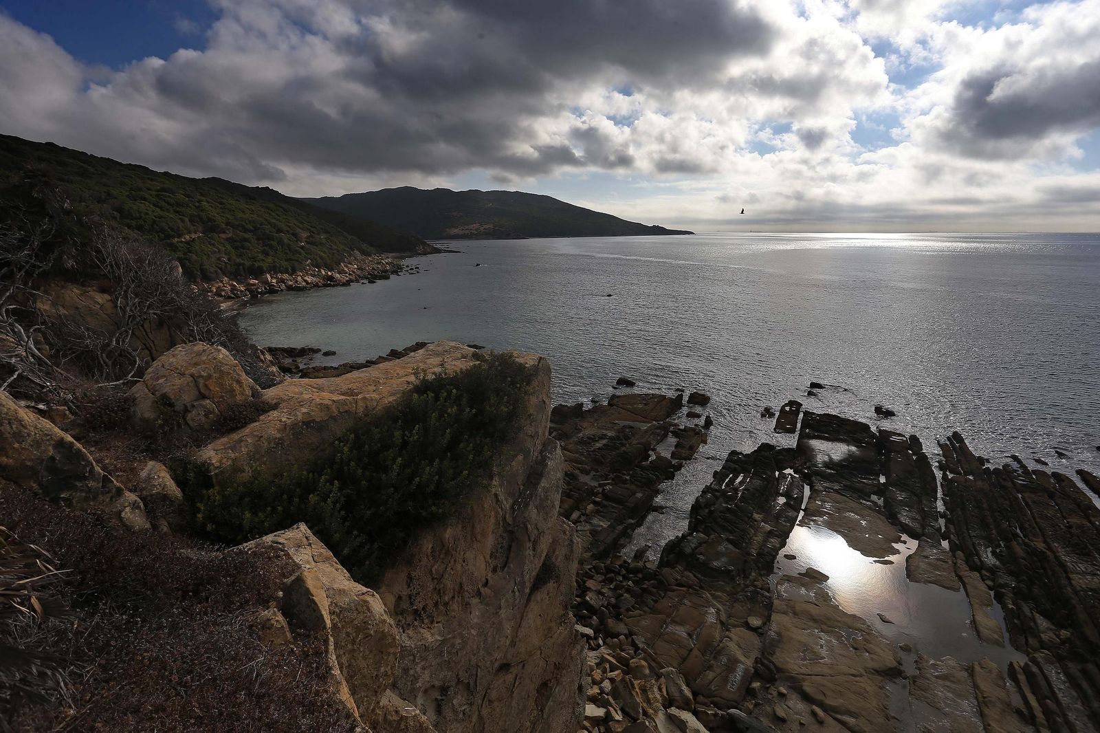 Flysh del Campo de Gibraltar, en imágenes