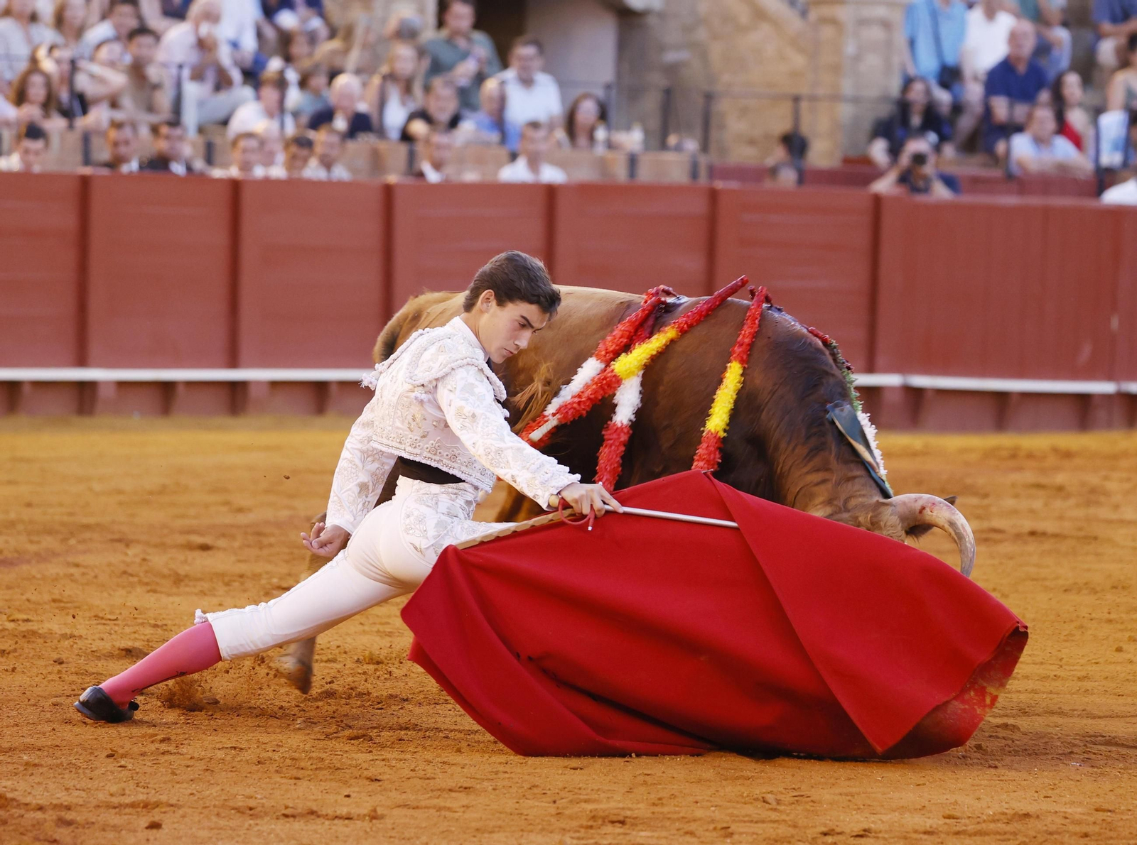 El cordobés Manuel Quintana abrió así su faena al segundo de la tarde. El cordobés Manuel Quintana abrió así su faena al segundo de la tarde.