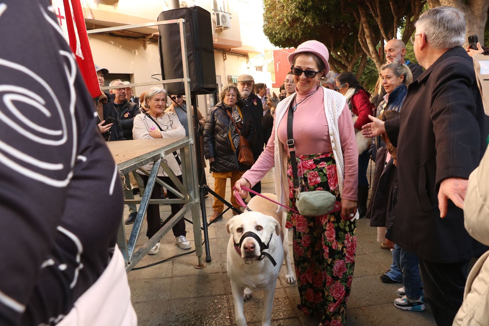 Así ha sido la bendición de las mascotas y la subasta de 'rabicos' en el casco histórico de Almería
