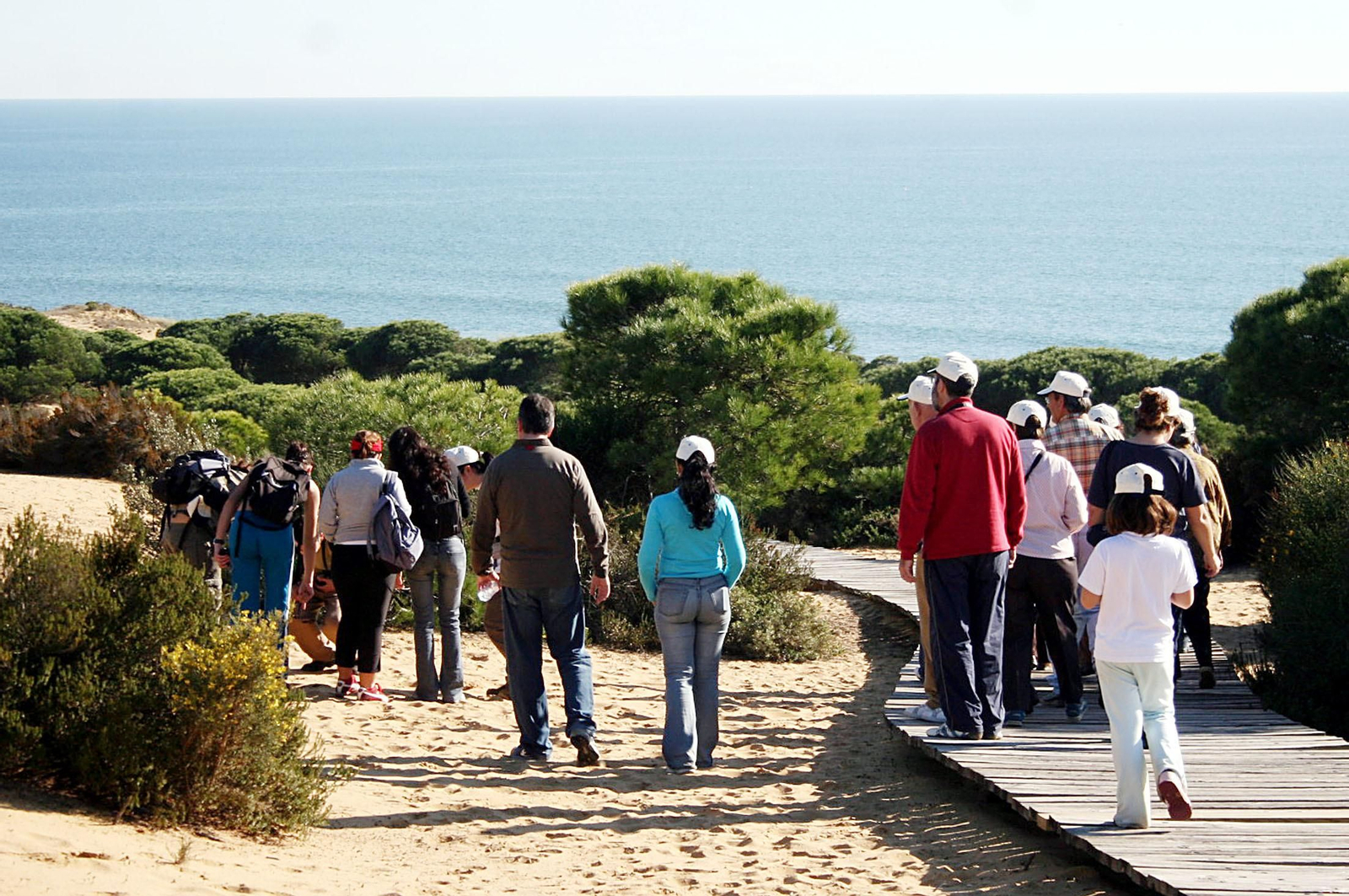 Un grupo de personas realiza senderismo.