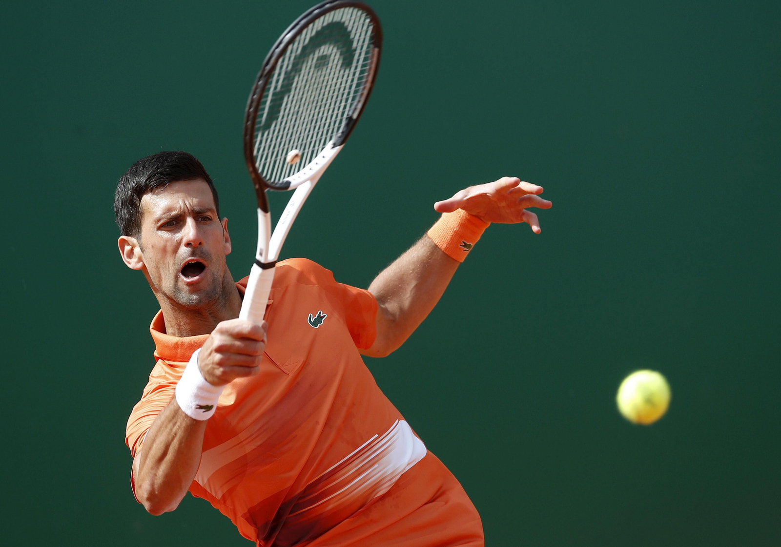Las fotos del Djokovic-Davidovich