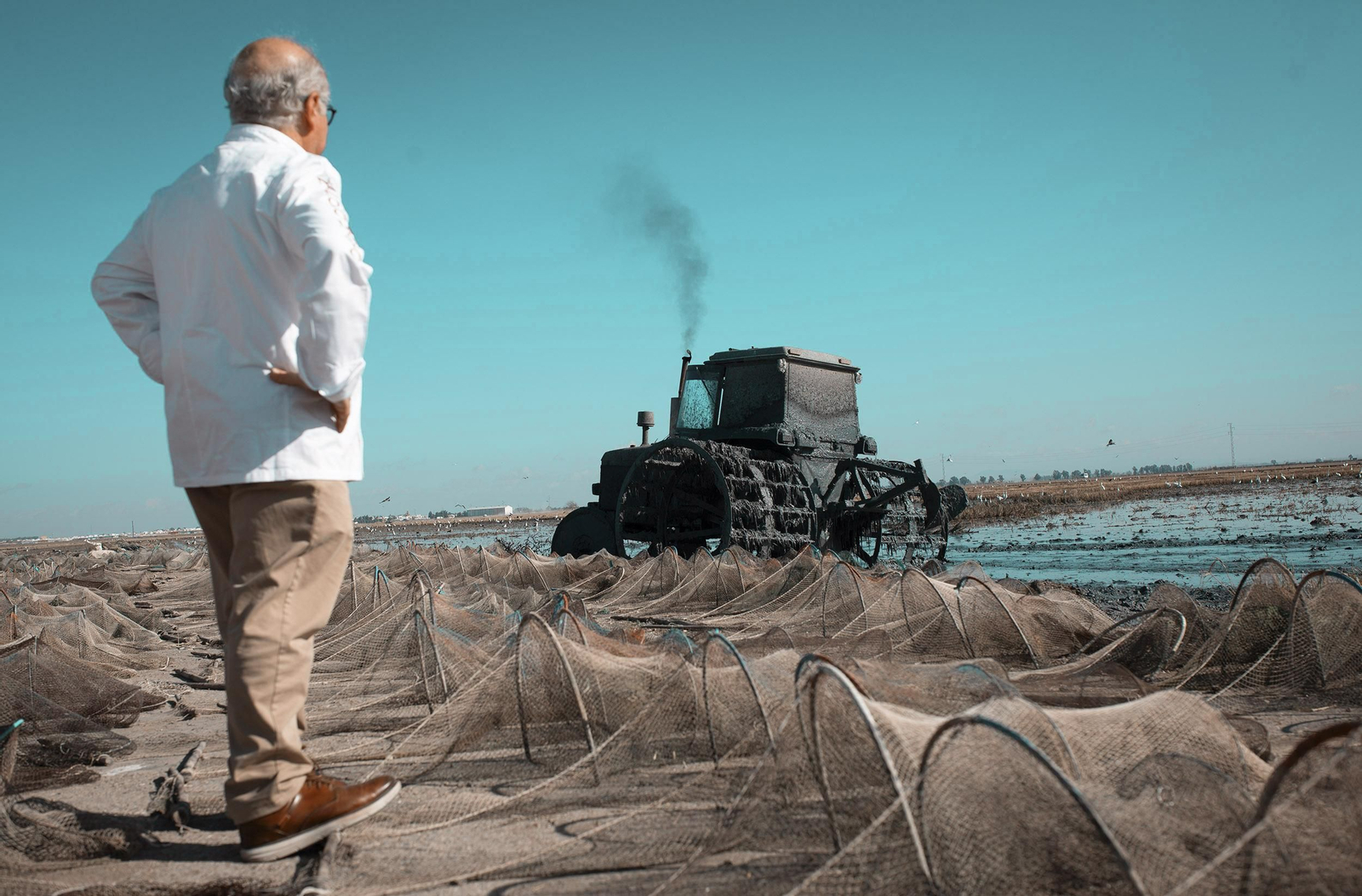 El hostelero Curro Mayo observa las labores de fangueo, entre nasas de cangrejos, en la marisma.