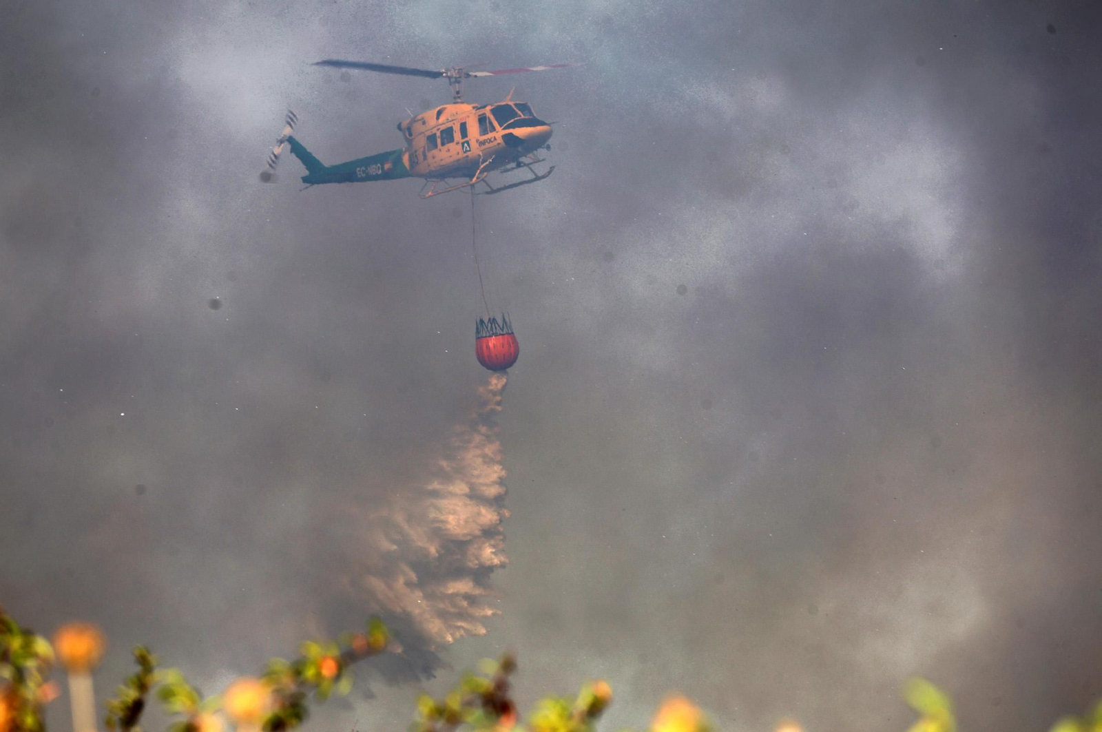 Imágenes del incendio en el Paraje del Arroyo de la Madreselva, en Bollullos par del Condado