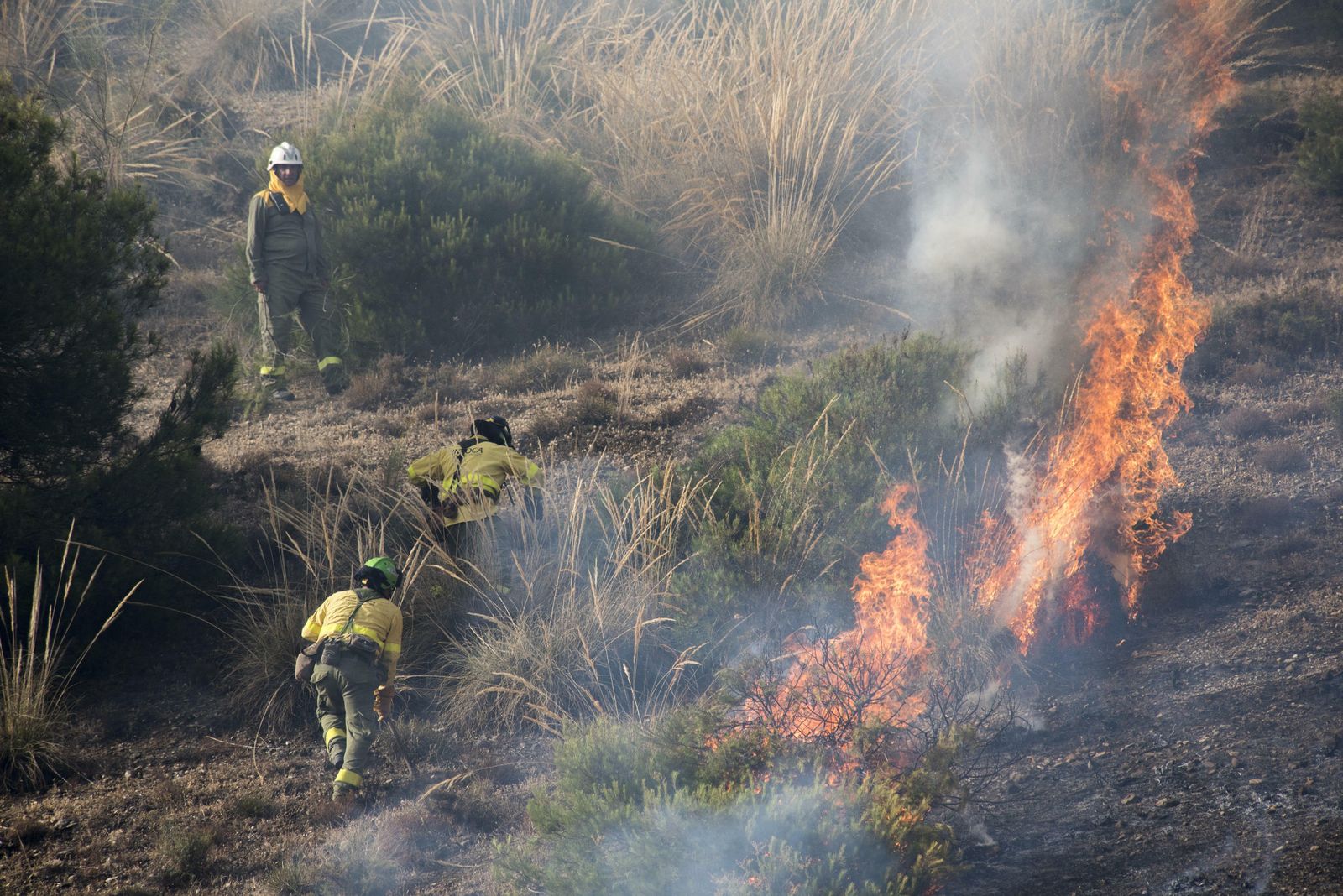Efectivos del Infoca, este jueves, durante las labores de extinción en el Sacromonte.