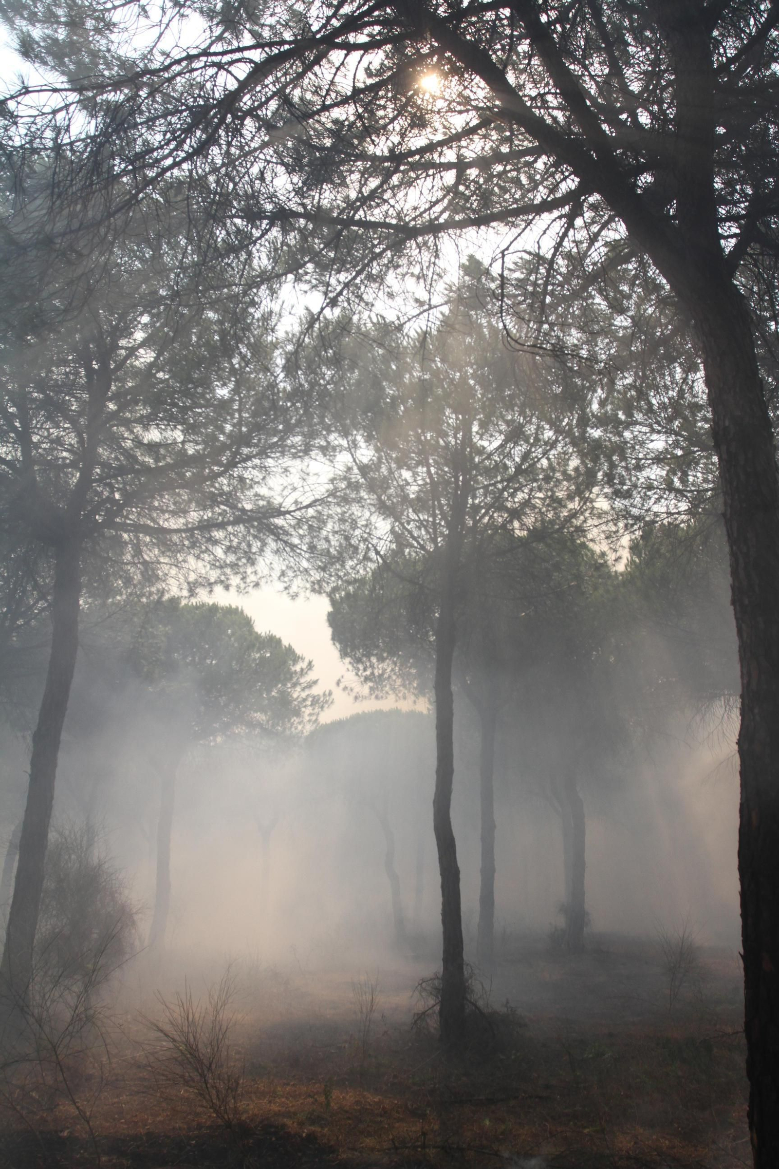 Las imágenes del incendio en Moguer y Mazagón
